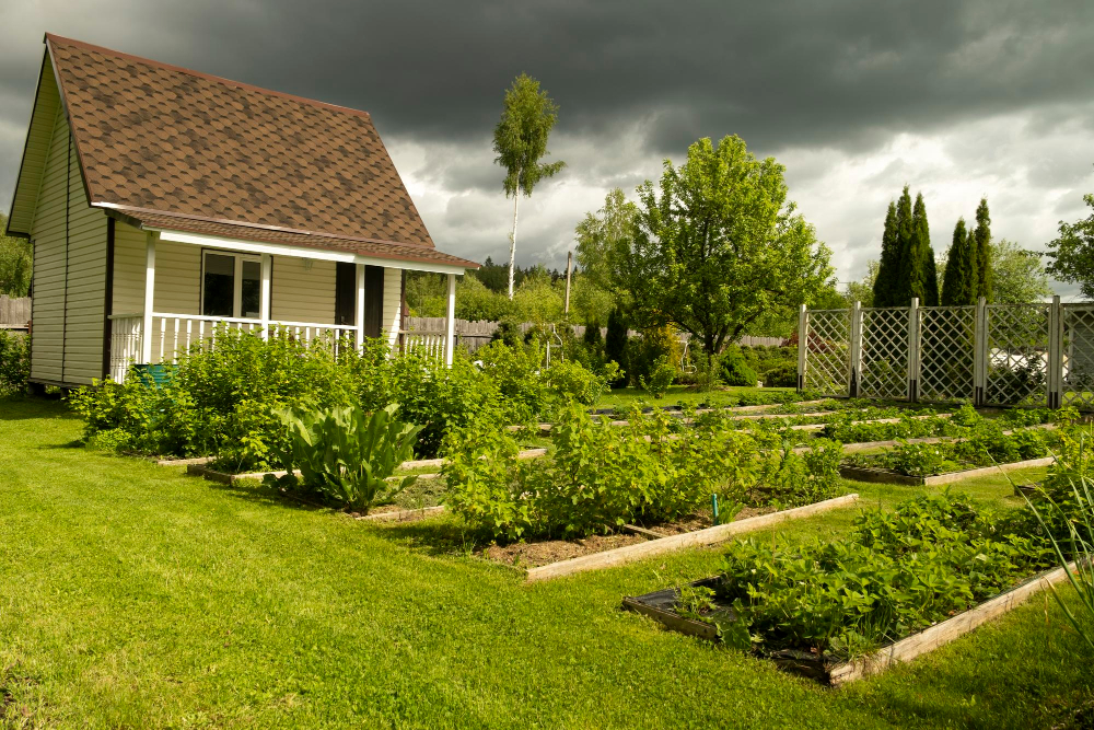 [Działka] Curabitur tellus magna imperdiet eget